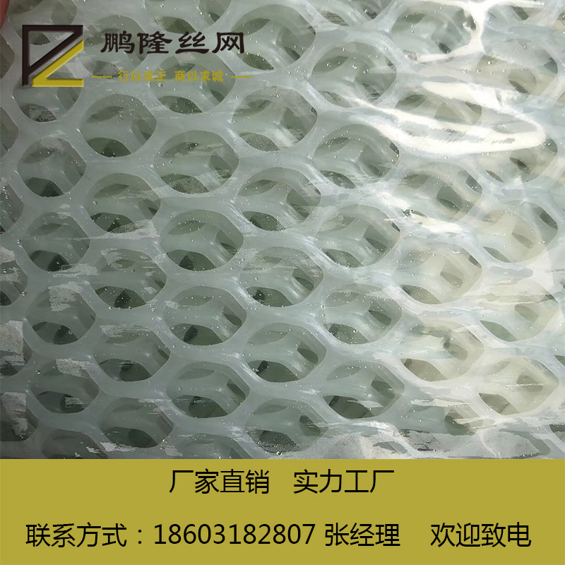 供應(yīng)河北鵬隆絲網(wǎng) 實(shí)體工廠 養(yǎng)蝦塑料平網(wǎng) 水產(chǎn)養(yǎng)殖 塑料平網(wǎng)