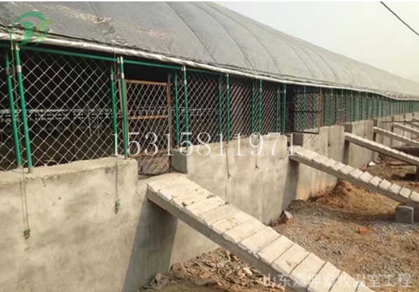 優(yōu)質(zhì)溫室大棚 連動式畜牧養(yǎng)殖大棚 畜牧養(yǎng)殖牛羊棚
