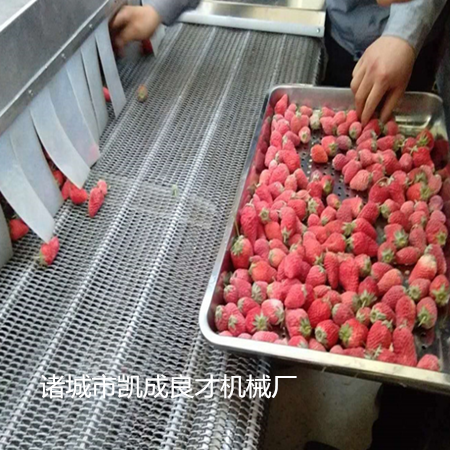 供應(yīng)良才牌海參液氮速凍機