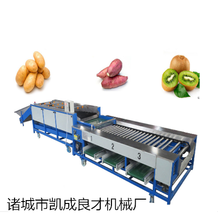 供應果蔬選果機