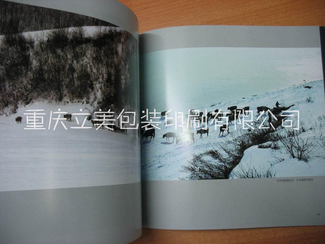 重慶攝影宣傳冊(cè)印刷，重慶攝影畫冊(cè)定制廠家