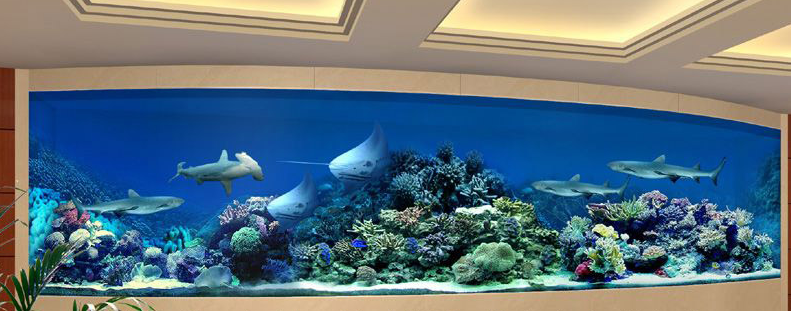 廣州魚缸定制、圓形魚缸、出租大型魚缸、家庭魚缸、訂做辦公室魚缸