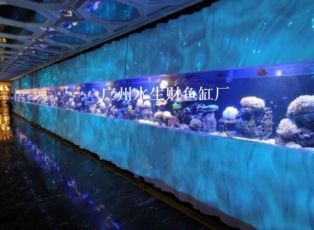 廣州上門魚缸定制，上門制作魚缸，黃埔區(qū)訂做魚缸，黃埔區(qū)出租魚缸