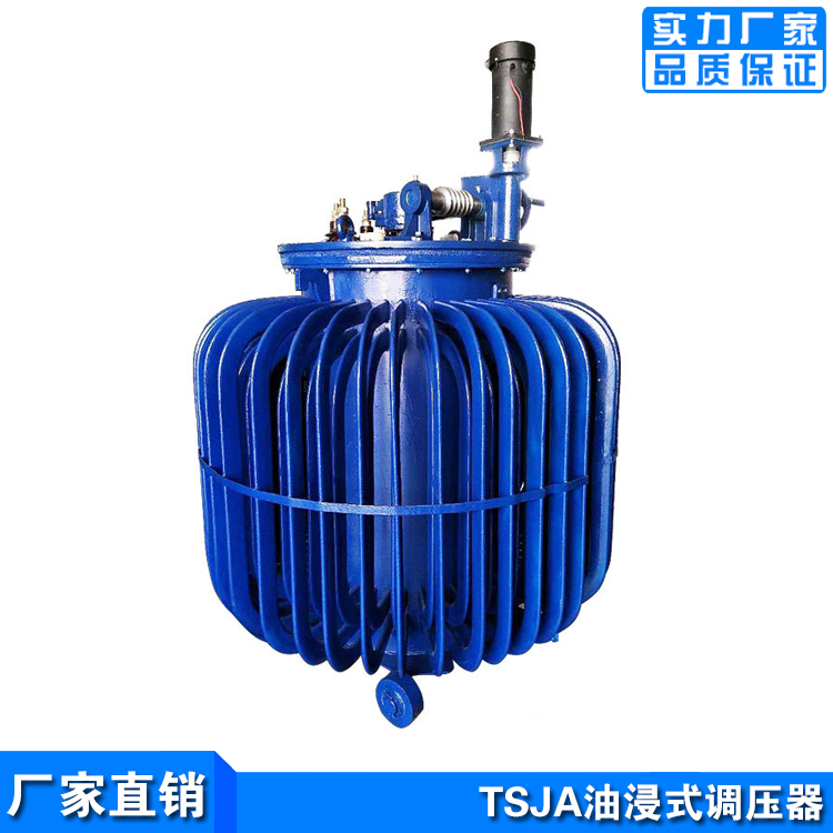 撫順油浸式調(diào)壓器廠家-TSJA-300KVA全銅芯調(diào)壓 0-650V