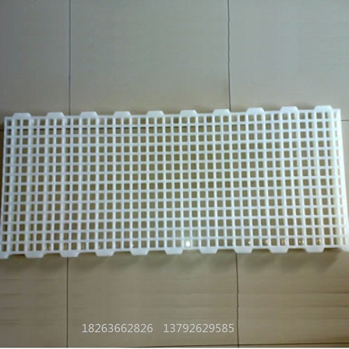 雞用地板 塑料漏糞板型號(hào) 漏糞板批發(fā)市場(chǎng)