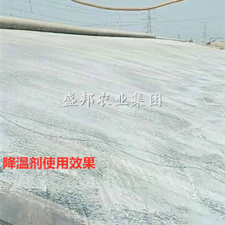 溫室大棚降溫劑廠家   溫室遮陽降溫劑   5公斤裝