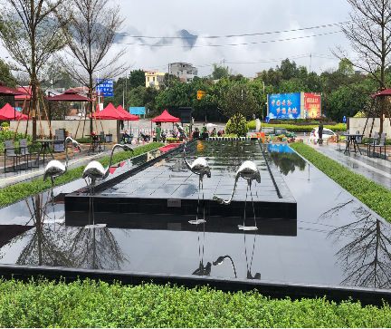 新力水投帝泊灣綠化工程承包商