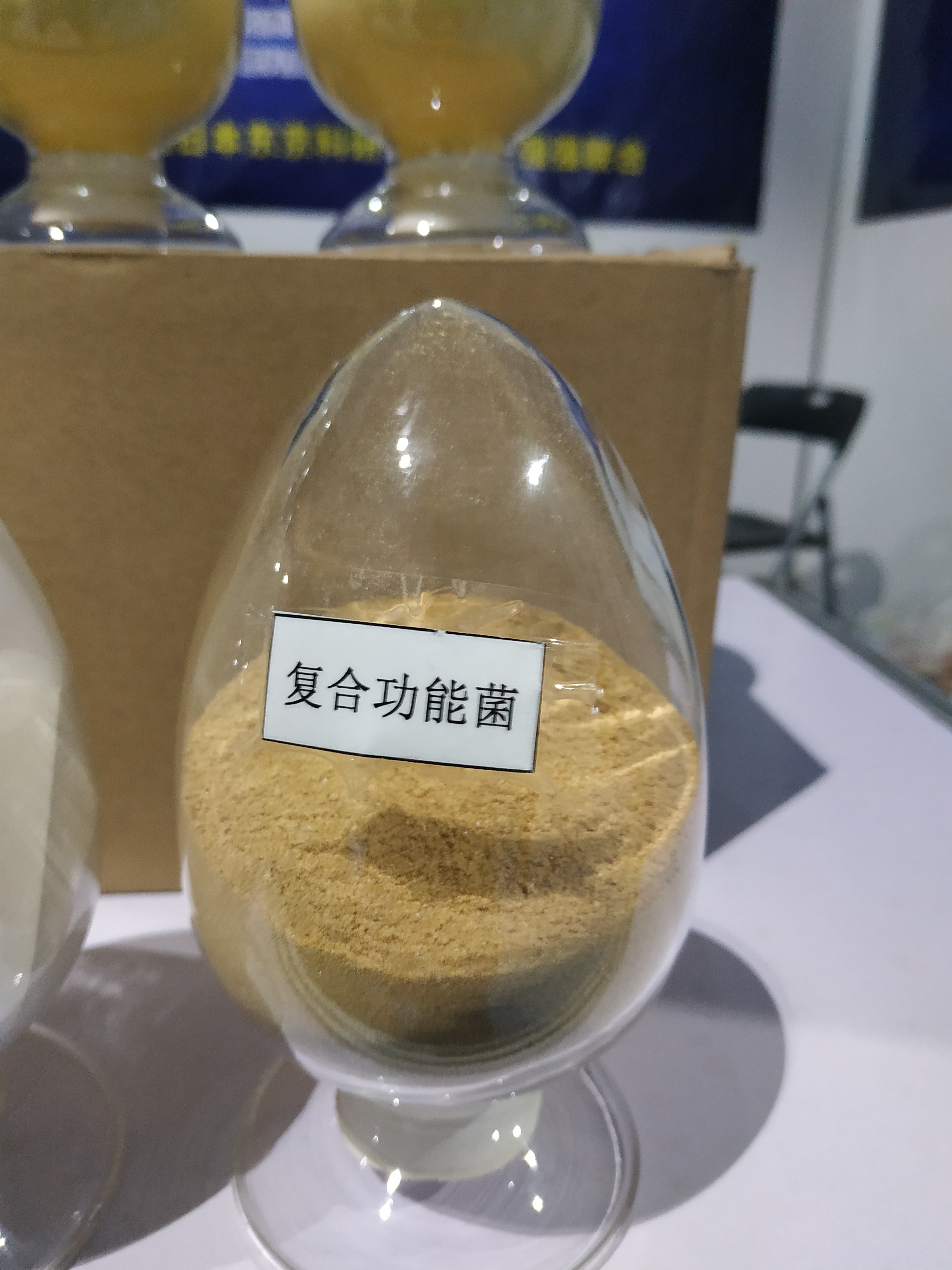 云南枯草芽孢桿菌生產(chǎn)廠家 生物肥料*菌種