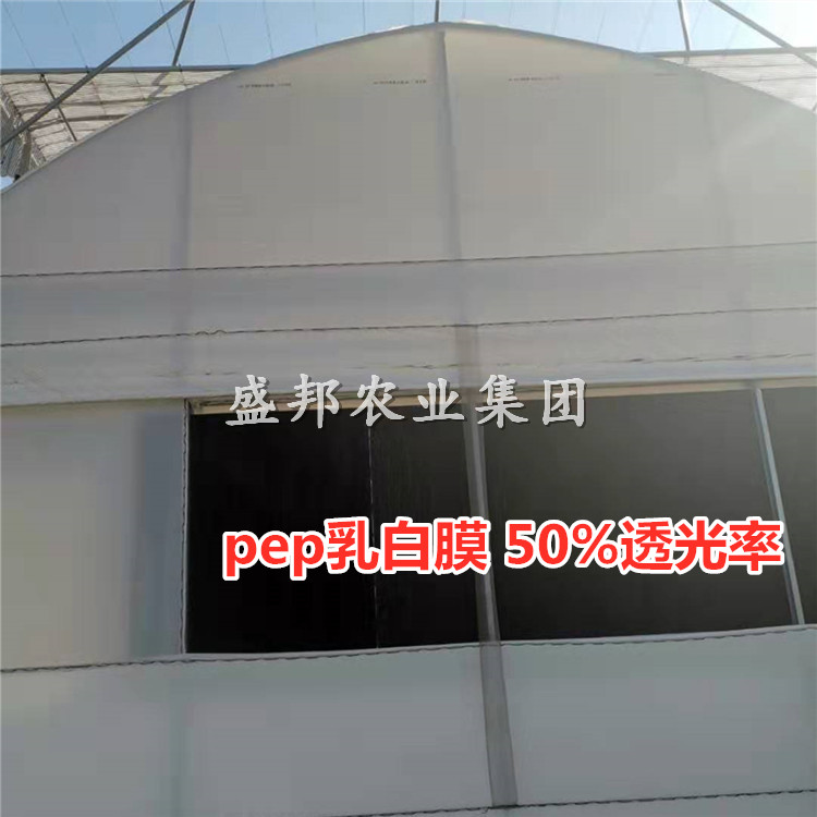 8絲PEP乳白膜 利得膜  50%透光率  連棟溫室四周遮陽使用