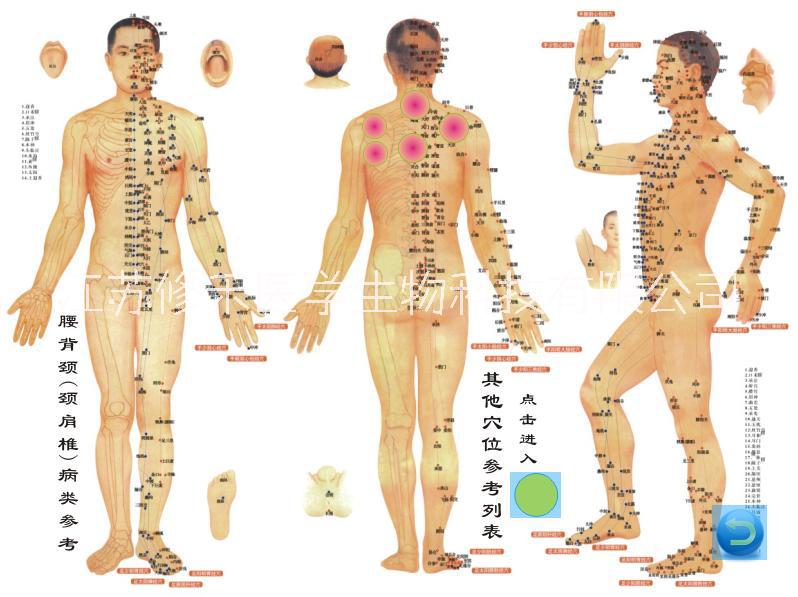 糖尿病 旋磁細(xì)胞修復(fù)儀