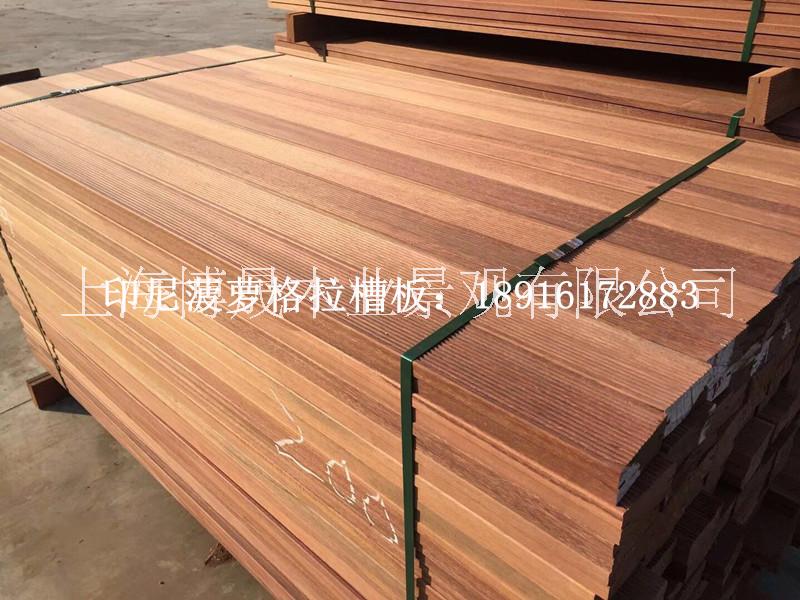 印尼菠蘿格 非洲菠蘿格 紅菠蘿格