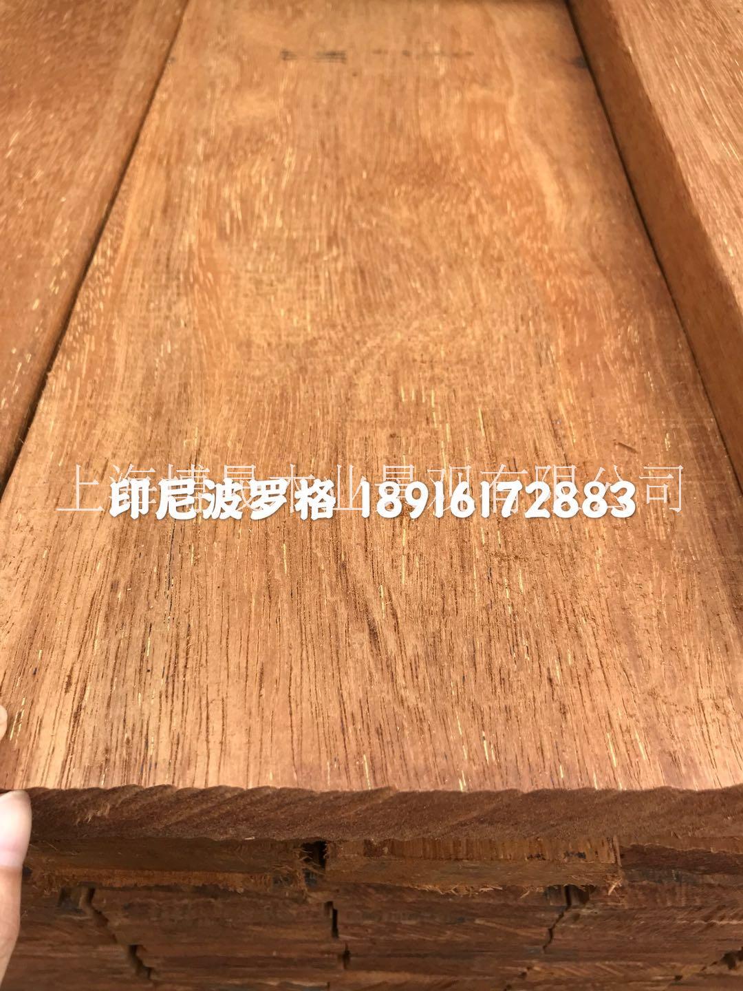 印尼菠蘿格 非洲菠蘿格 紅菠蘿格