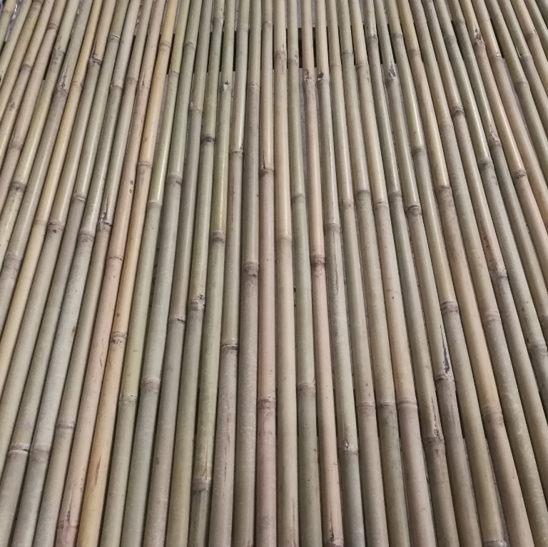 天然小竹桿 植物竹條 竹棒 竹制