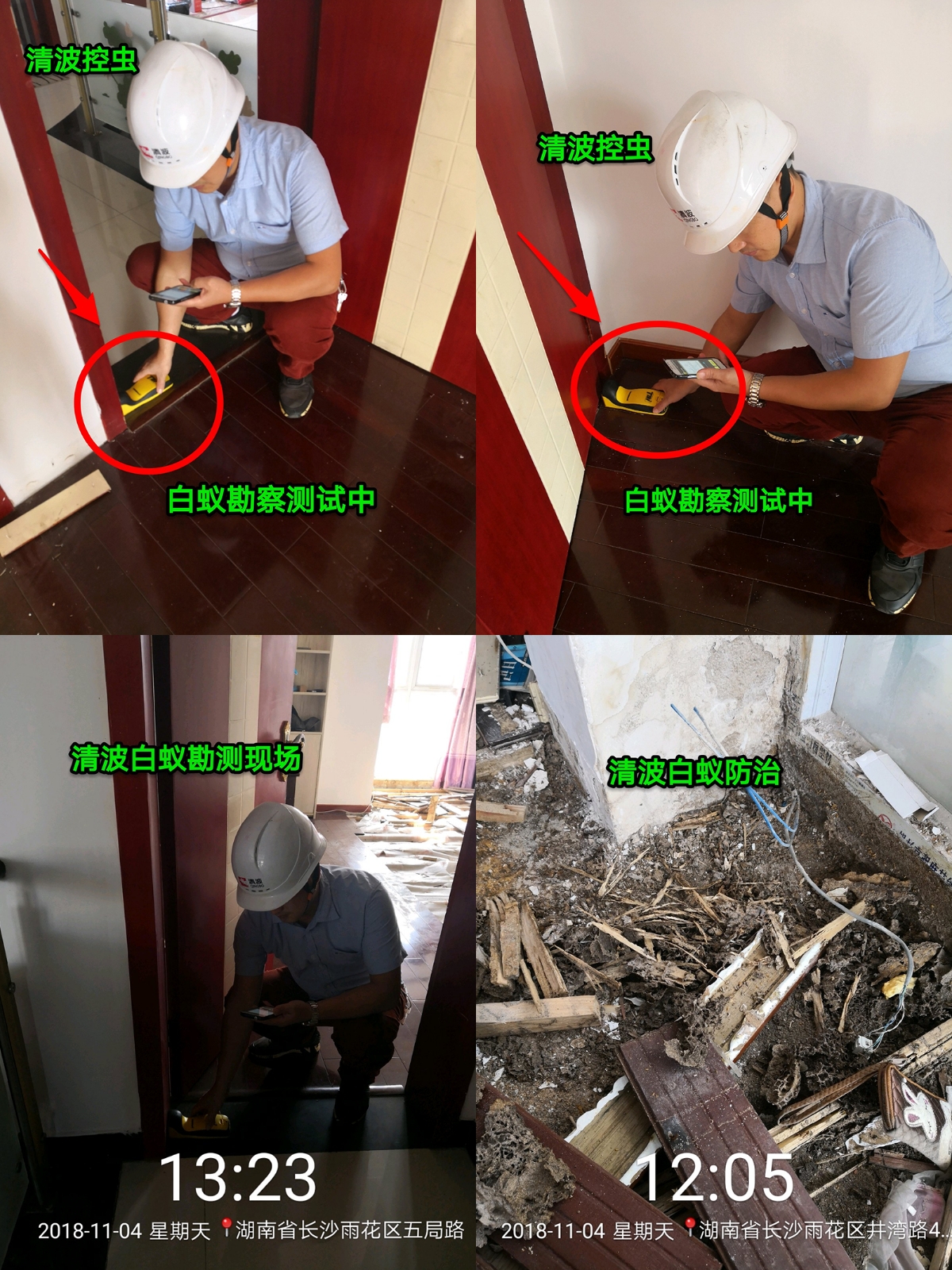 泰州滅鼠公司 泰州滅蟑螂公司 泰州滅白蟻公司 泰州殺蟲公司 泰州滅臭蟲公司 泰州跳蚤公司