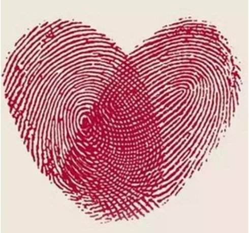 多元智能（皮紋）測評的發(fā)展歷程