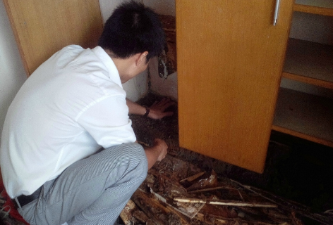 白蟻防治資 質(zhì)-深圳-聯(lián)系方式-哪里找-哪家好-全國(guó)