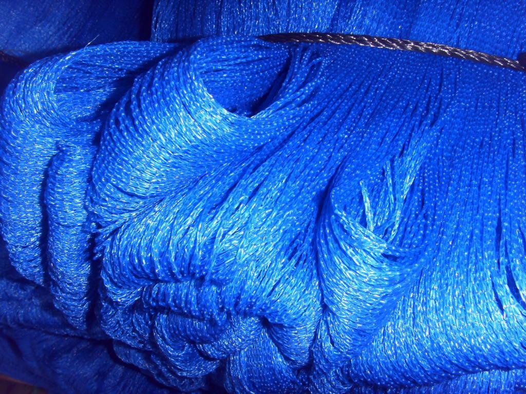 湖南防鳥網(wǎng)-優(yōu)質(zhì)生產(chǎn)廠家-湖南鑫海股份有限公司