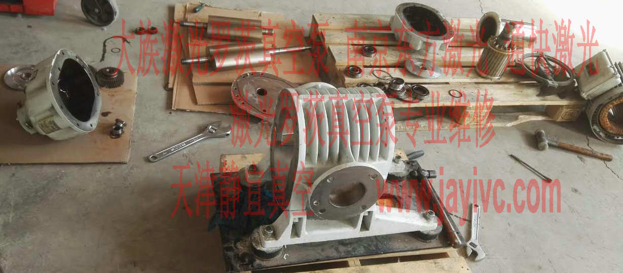 供應(yīng)天津萊寶RUVAC羅茨泵維修