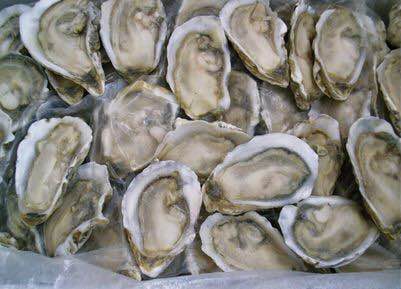 杭州牡蠣批發(fā) 銷售 養(yǎng)殖 生蠔批發(fā)