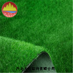 供應(yīng) 供應(yīng)綠色仿真草坪 綠色草坪網(wǎng)
