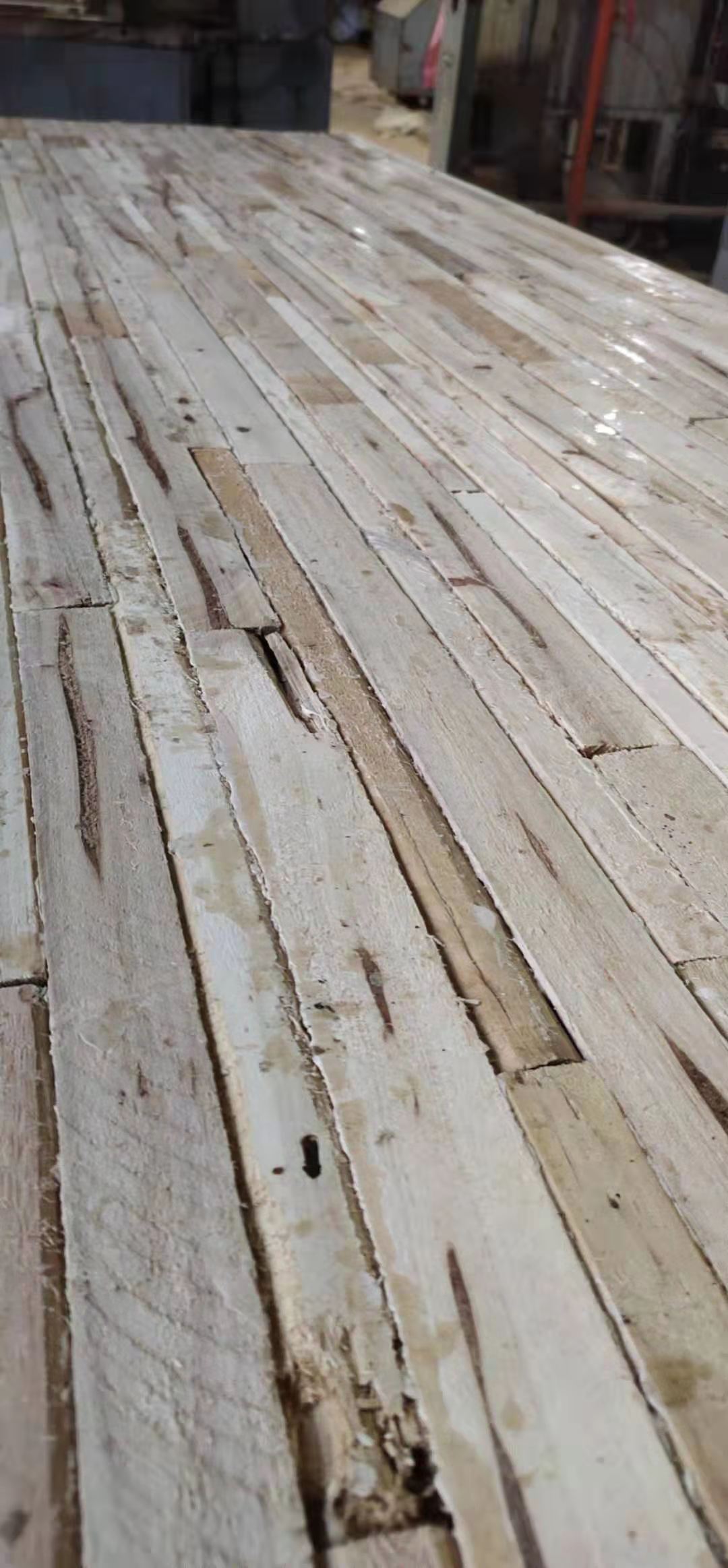 楊木夾芯/生產廠家/價格 山東菏澤家具原材料楊木夾芯