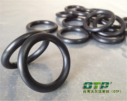 彈簧蓄能密封圈 橡膠密封件