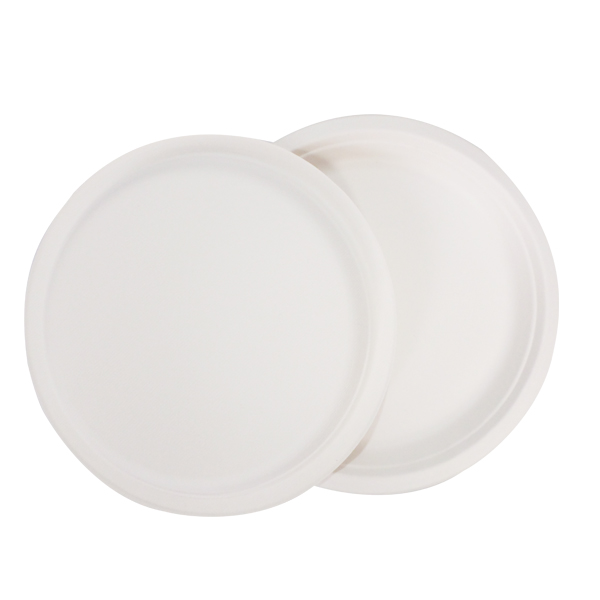 奇正 HZ-014 一次性盤子 10寸 20只/包