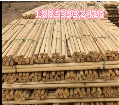 楊木綠化桿/生產(chǎn)廠家/批發(fā) 山東楊木綠化桿廠家 山東菏澤廠家直銷純楊木綠化桿 園林必備楊木綠化桿