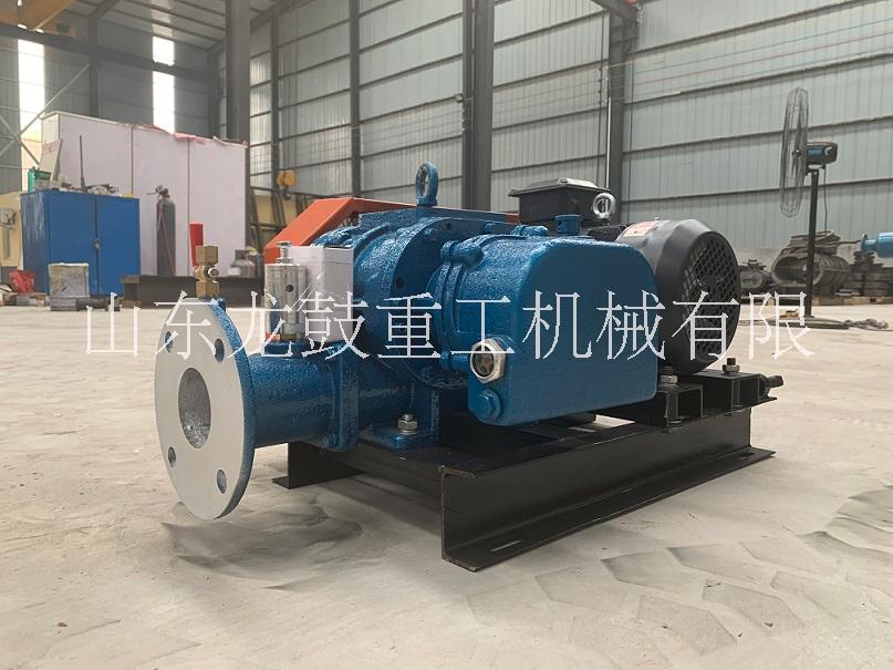 *大功率羅茨風機