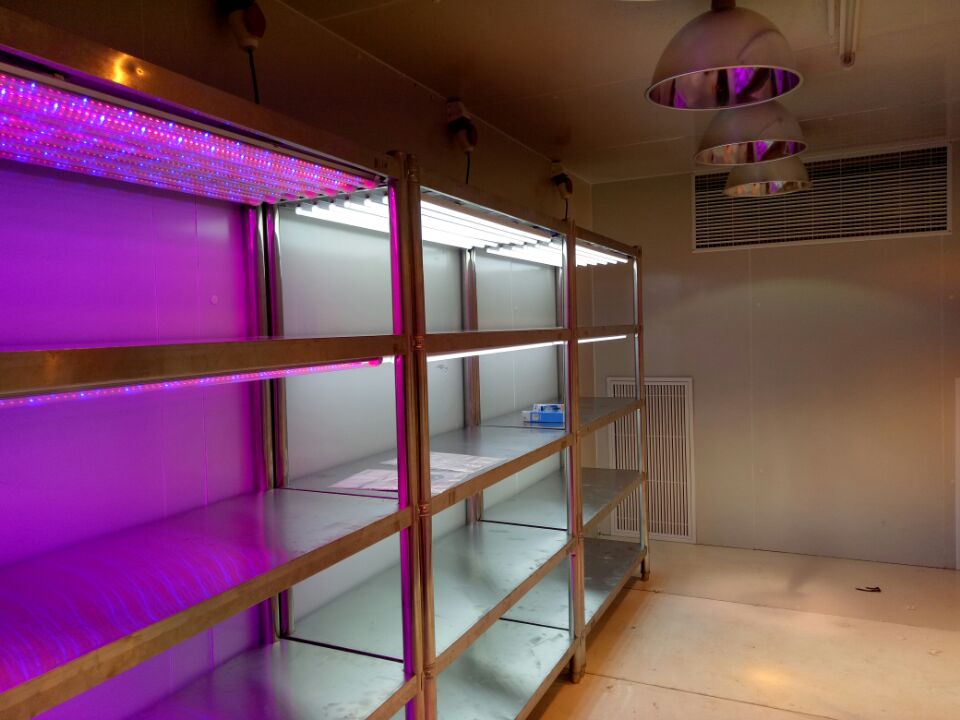 甘肅人工氣候室供應(yīng)商、廠家、熱賣(mài) 【甘肅德原制冷設(shè)備有限公司】