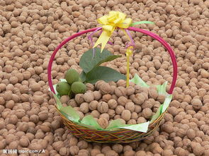 空氣能熱泵烘干機核桃烘干設(shè)備干果烘干控溫控濕控時