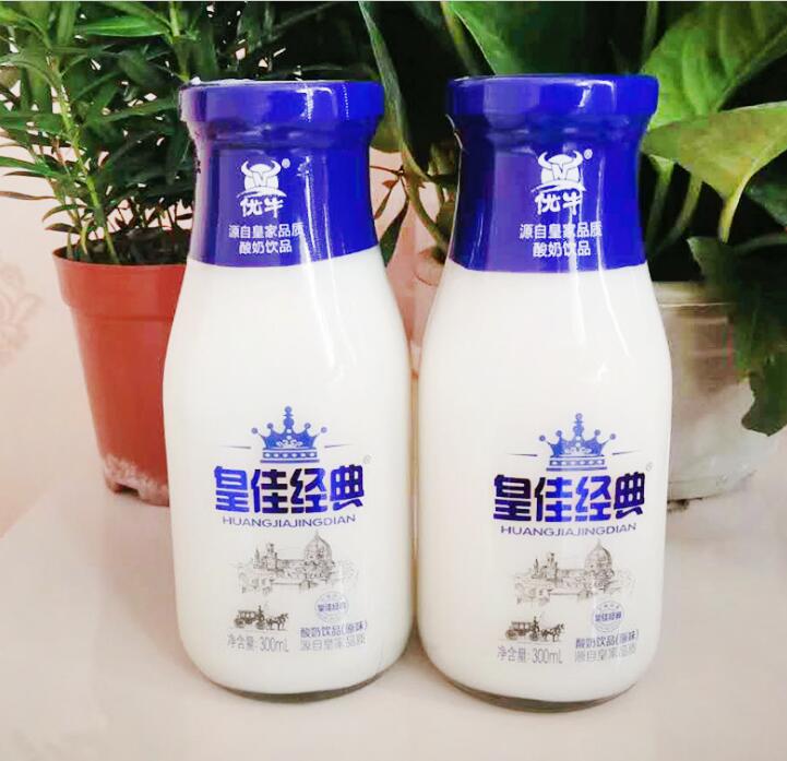 原味乳酸菌飲品 300ml*15原味乳酸菌飲品含乳飲料 兒童飲品玻璃瓶裝 誠(chéng)招代理加盟