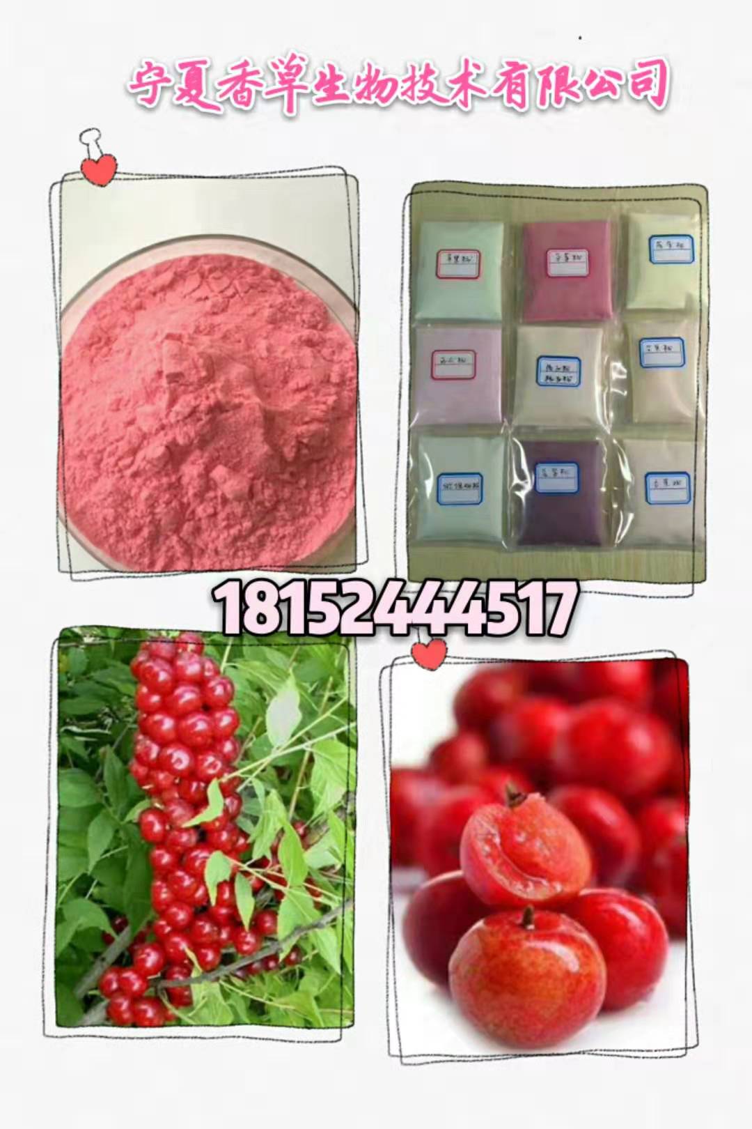 鈣果粉批發(fā)價(jià)/固原鈣果提取物廠家直銷 鈣果濃縮汁大量銷售