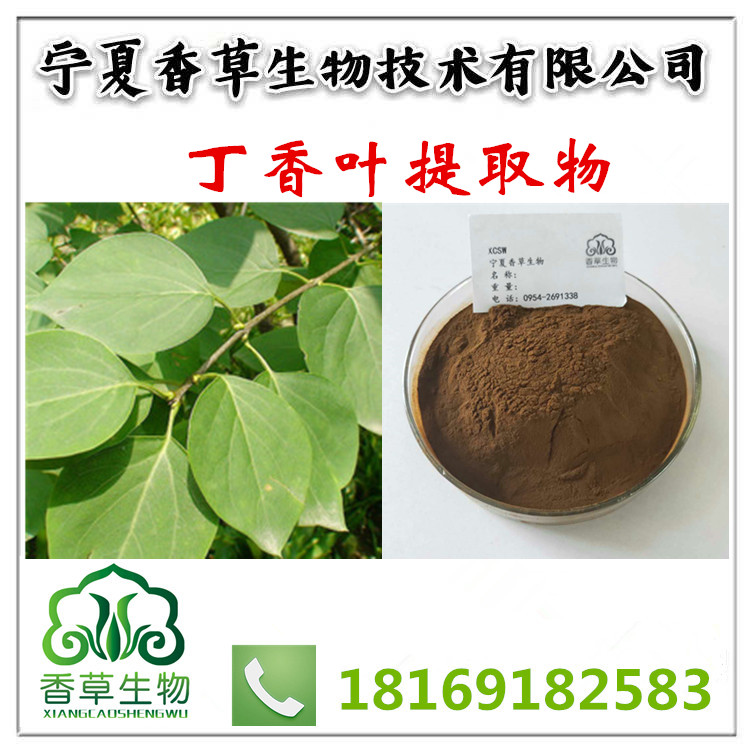 丁香葉提取液供應(yīng)商/丁香葉粉價(jià)格 廠(chǎng)家直銷(xiāo) 丁香葉醇提物