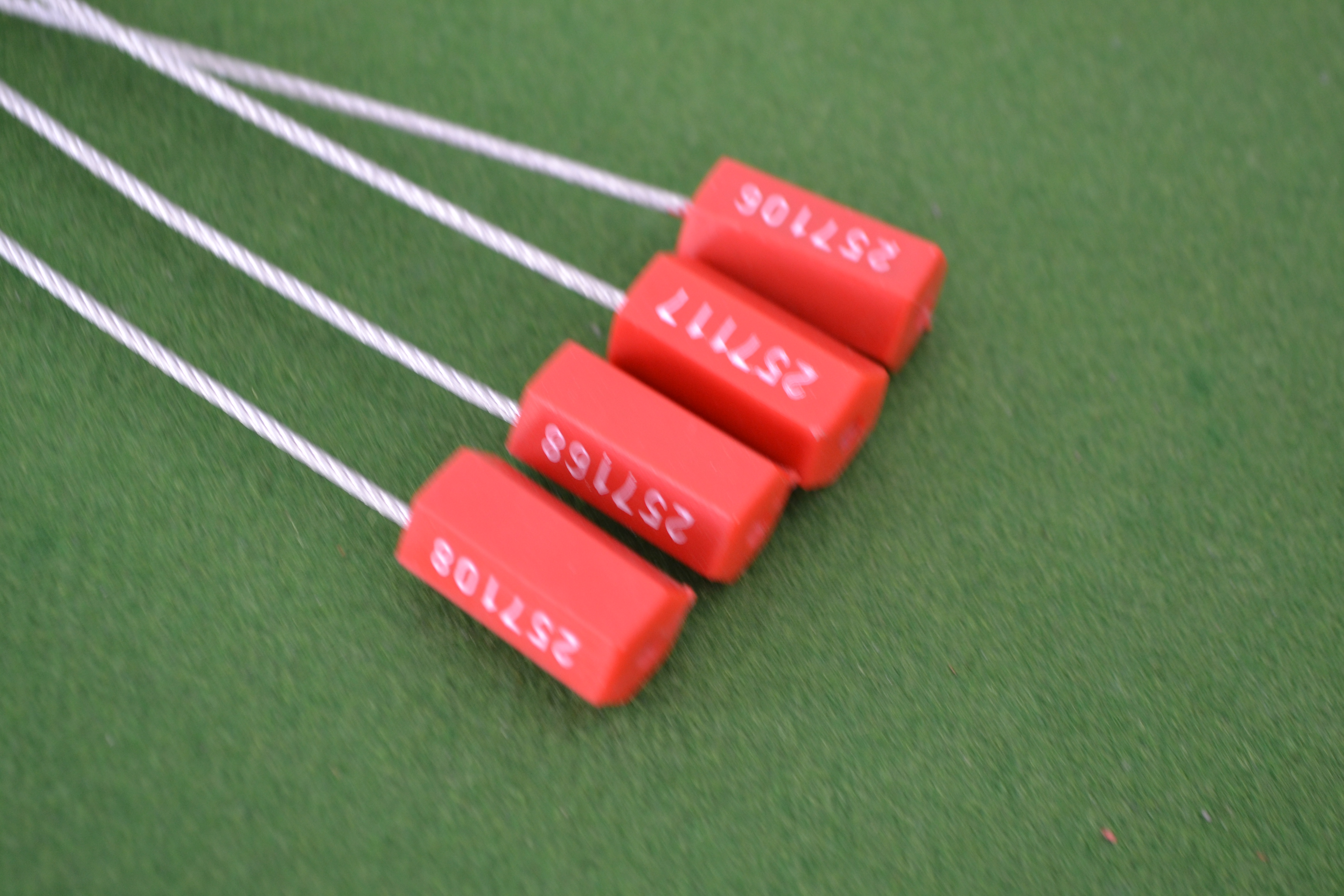 一次性的施封鎖 鋼絲封