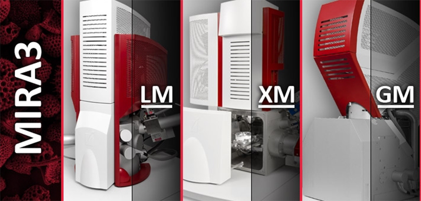 TESCAN--場(chǎng)發(fā)射掃描電鏡