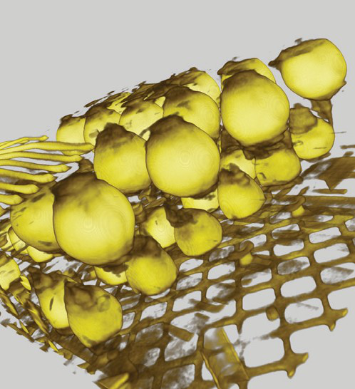 Nordson Dage  Quadra? 5 X-射線檢測系統(tǒng)