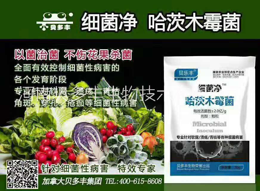 軟腐病殺菌劑廠家_辣椒軟腐病殺菌劑_西葫蘆軟腐病殺菌劑