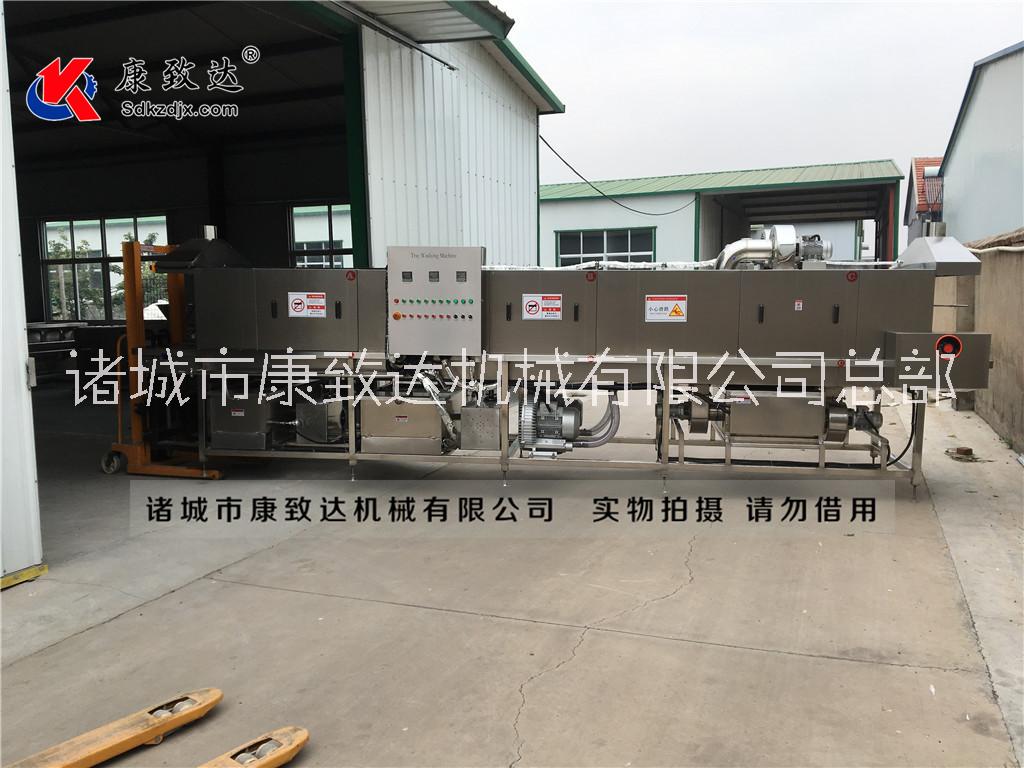 康致達(dá)廠家直銷(xiāo)龍蝦快遞箱清洗機(jī)