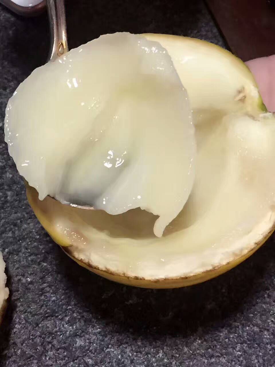 黃晶果黃金果小苗 當年小苗 黃晶果 黃金果