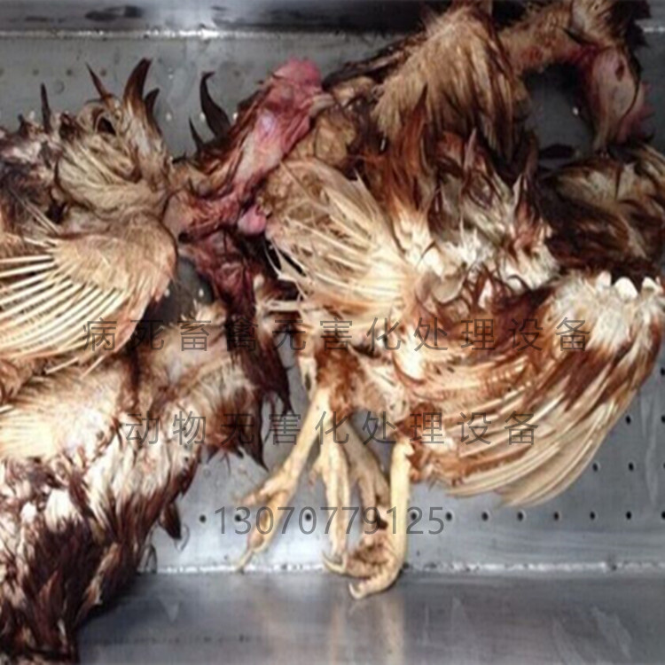 畜禽無害化處理設(shè)備 廠家直銷 牲畜畜禽無害化處理設(shè)備 廠家直銷