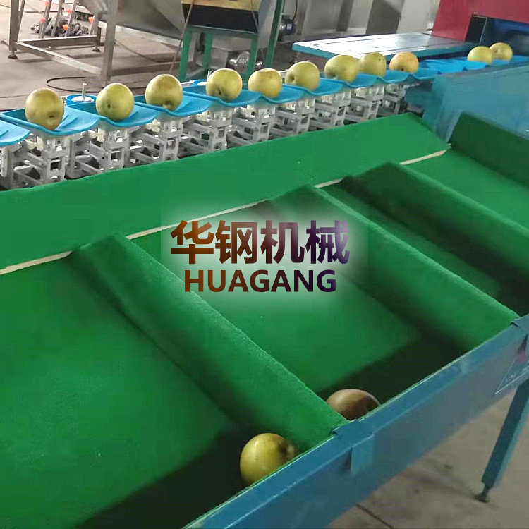 選果機(jī)廠家,水果自動上果分選設(shè)備