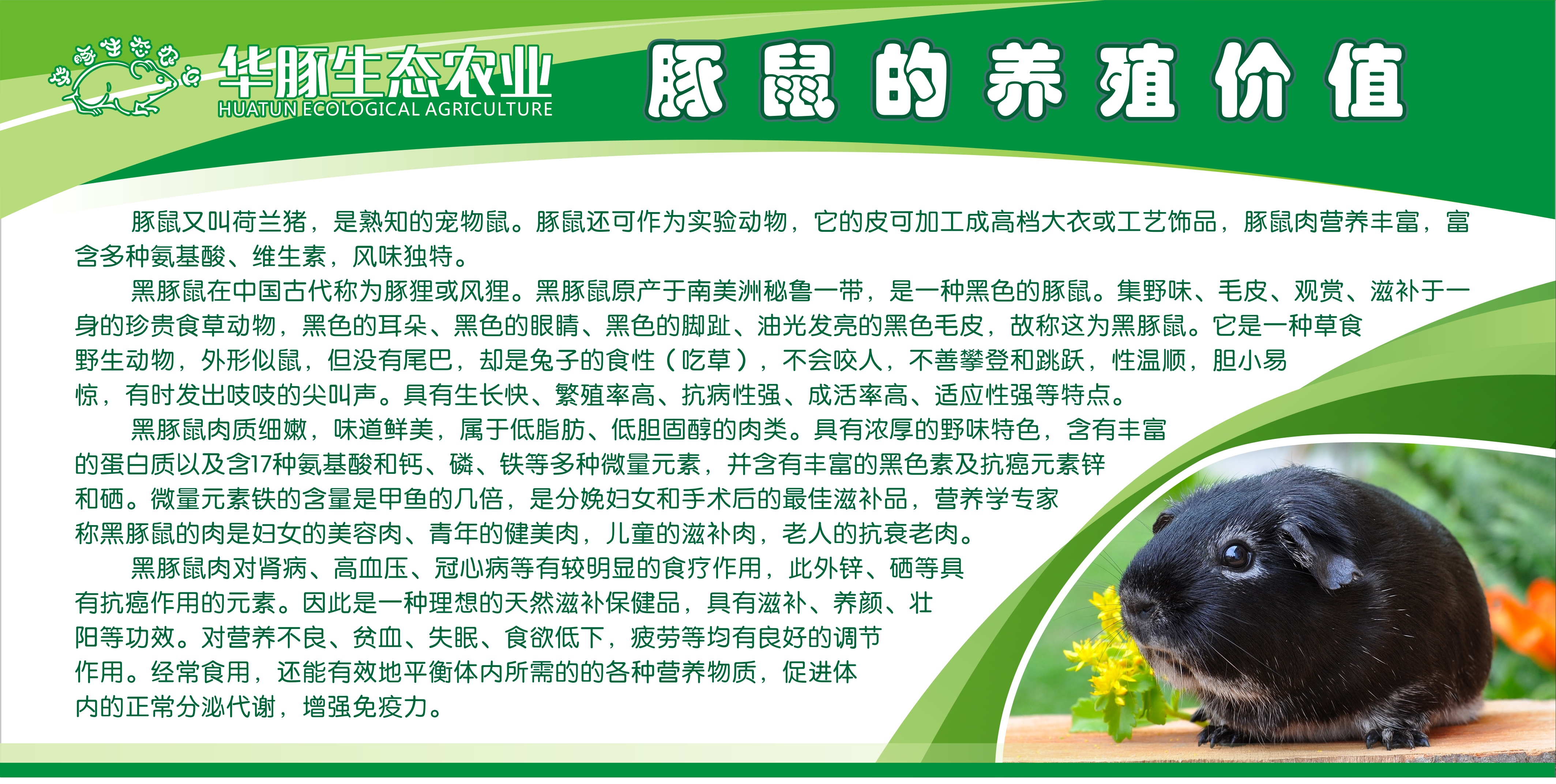 華豚生態(tài)農(nóng)業(yè)*養(yǎng)殖優(yōu)勢(shì)