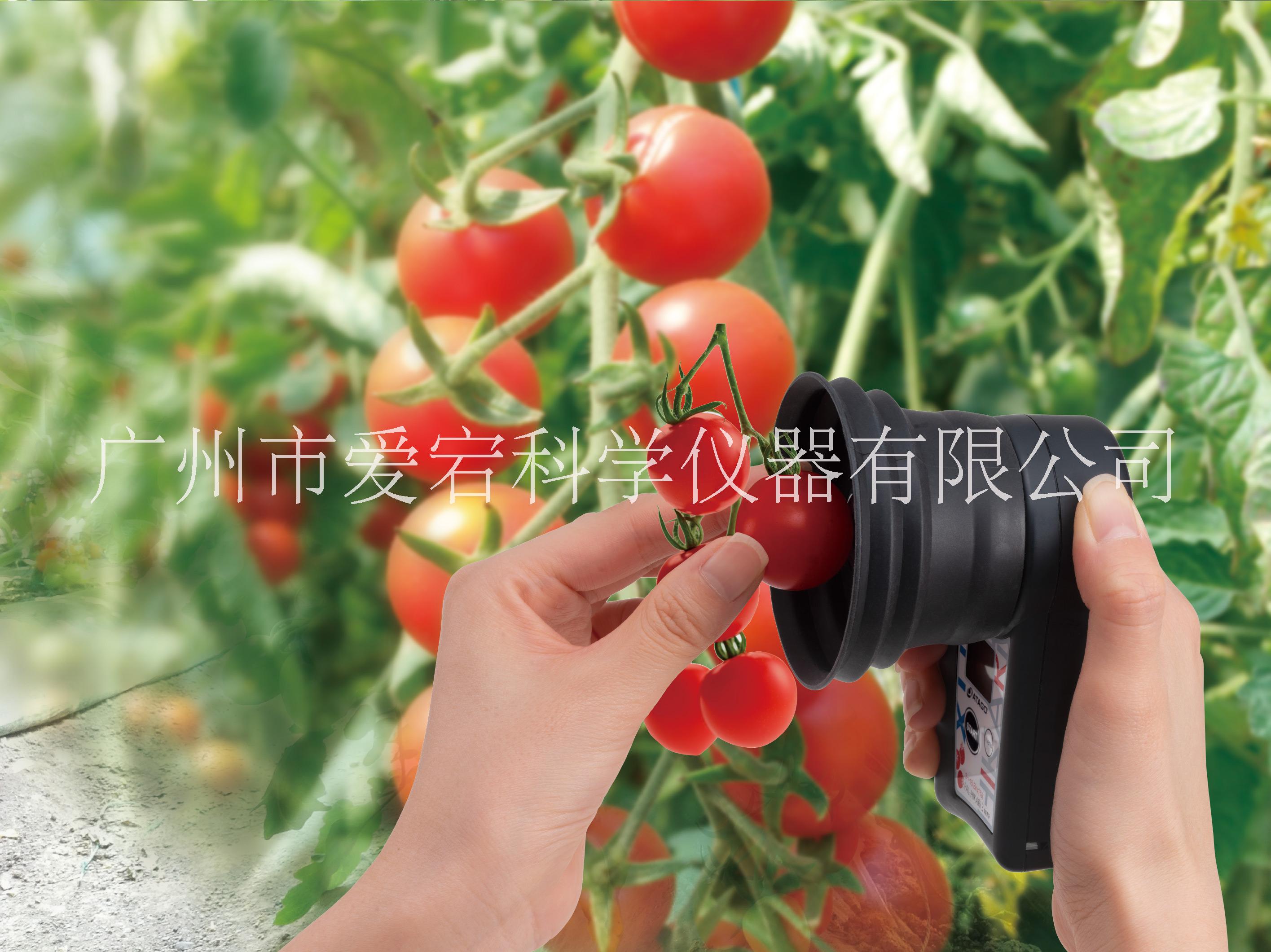 PAL-HIKARi 16 水果無損糖度計(jì) 櫻桃無損糖度計(jì)