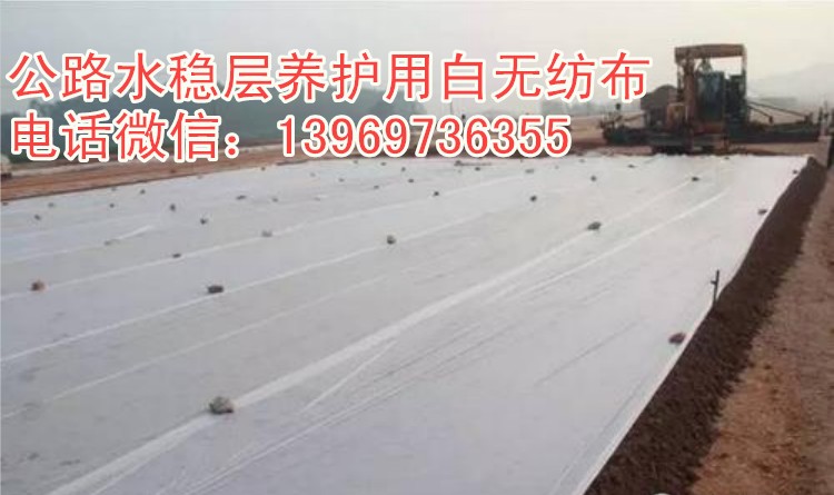 修路水穩(wěn)層養(yǎng)生白土工布 混凝土工布養(yǎng)護(hù)公路毛氈 工程養(yǎng)護(hù)無紡布 水穩(wěn)層養(yǎng)生白土工布 混凝土工布