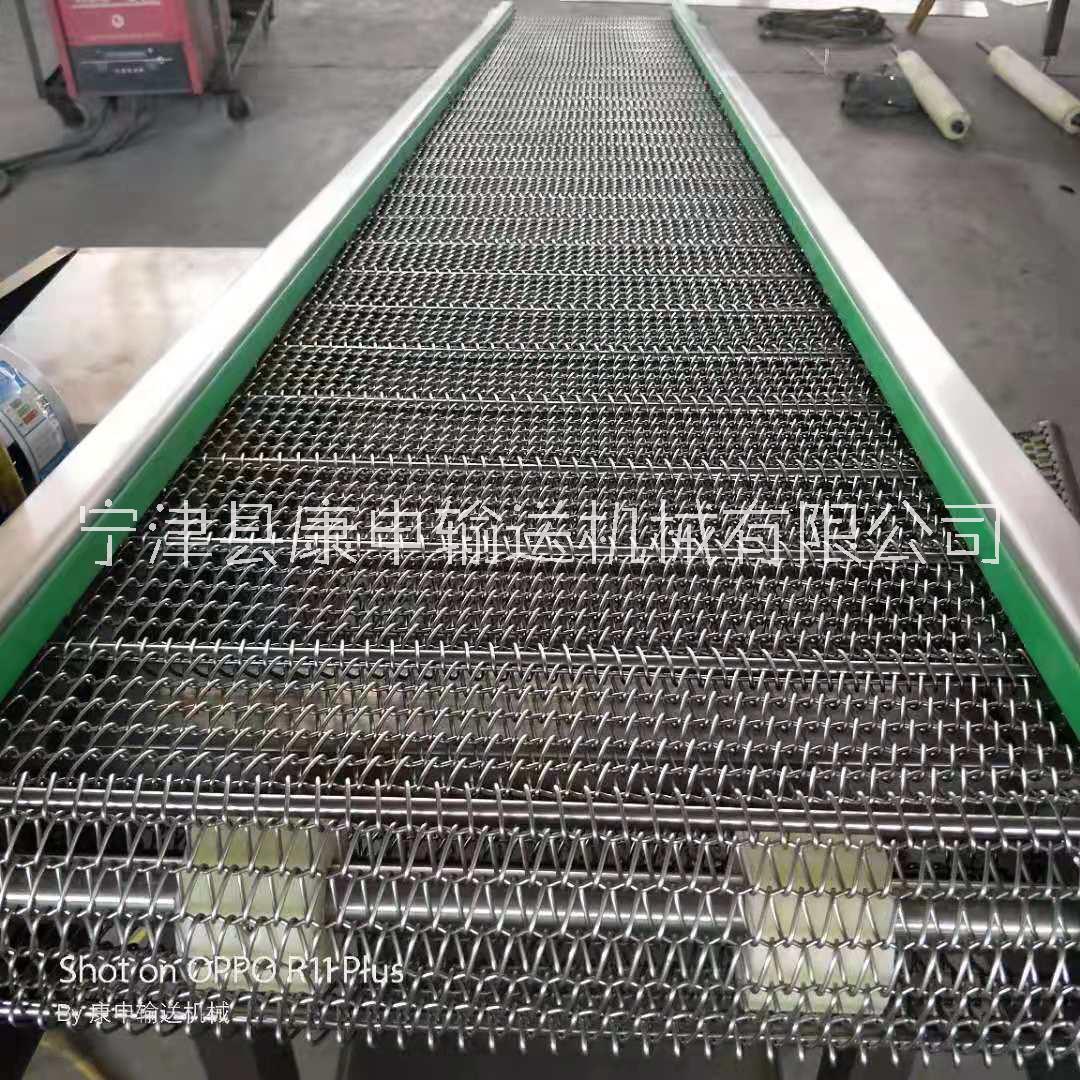 廠家直銷網(wǎng)鏈輸送機  304不銹鋼網(wǎng)鏈輸送機
