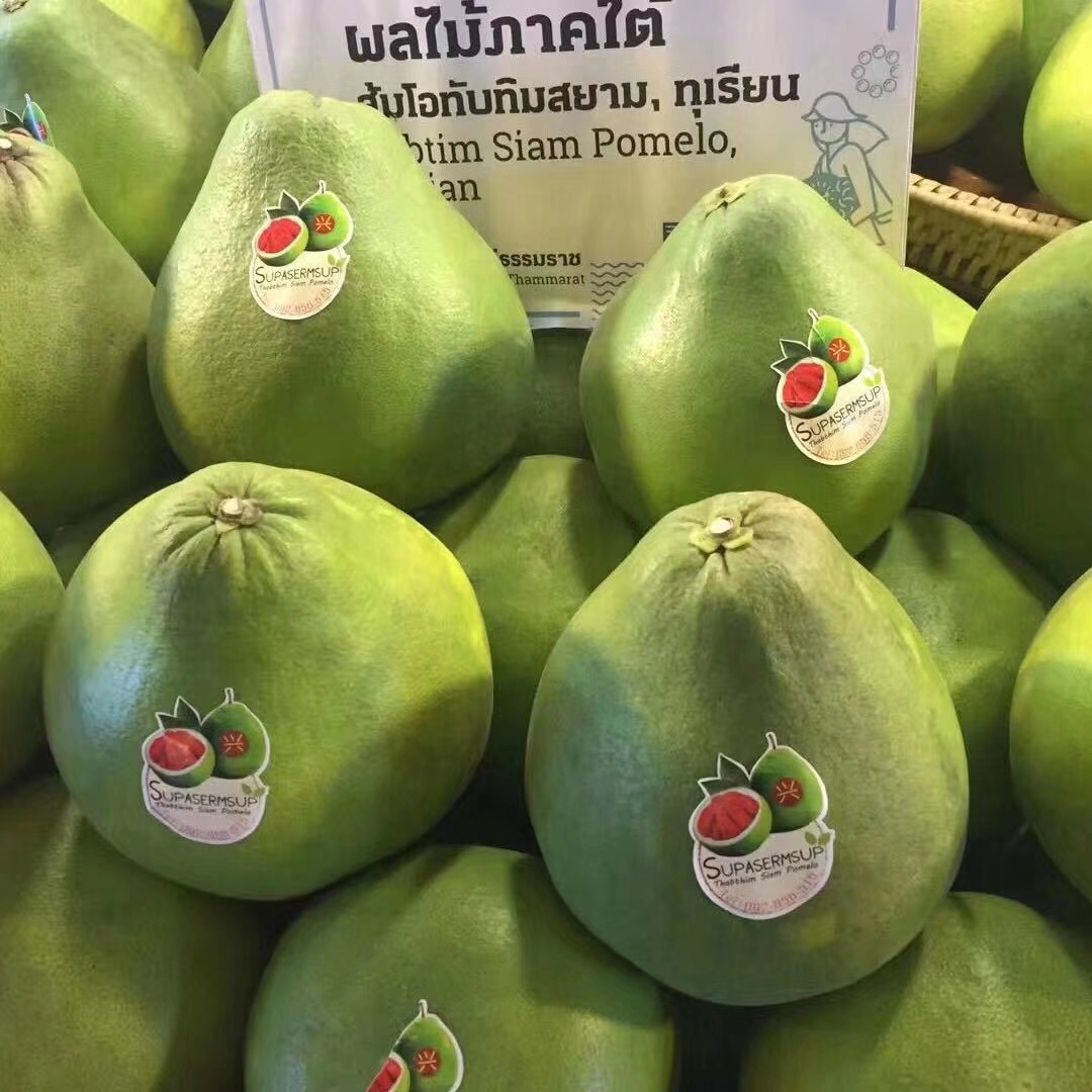 長期供應泰國紅寶石青柚苗種植基地批發(fā)價格