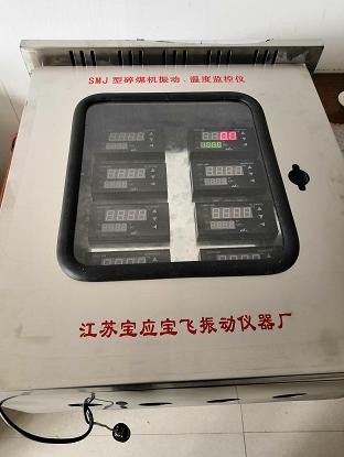 供應(yīng)雙通道振動(dòng)監(jiān)控儀價(jià)格 雙通道振動(dòng)監(jiān)控儀