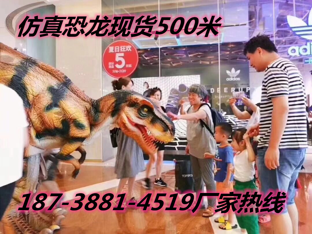 仿真恐龍租賃廠家仿真恐龍 租賃仿真恐龍批發(fā)商 機(jī)械恐龍價(jià)格 圖片 廠家