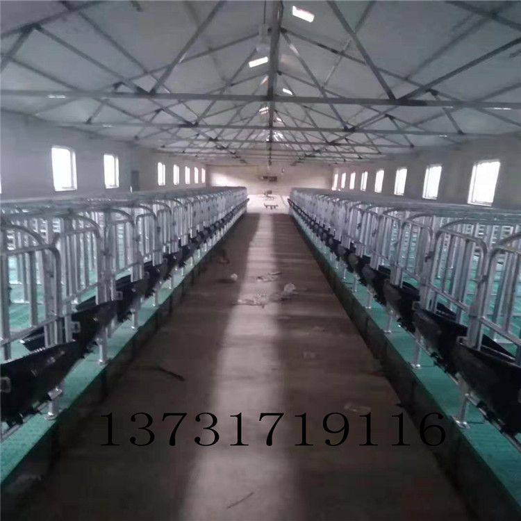 京金機(jī)械-11型母豬產(chǎn)床 單體產(chǎn)床 限位欄